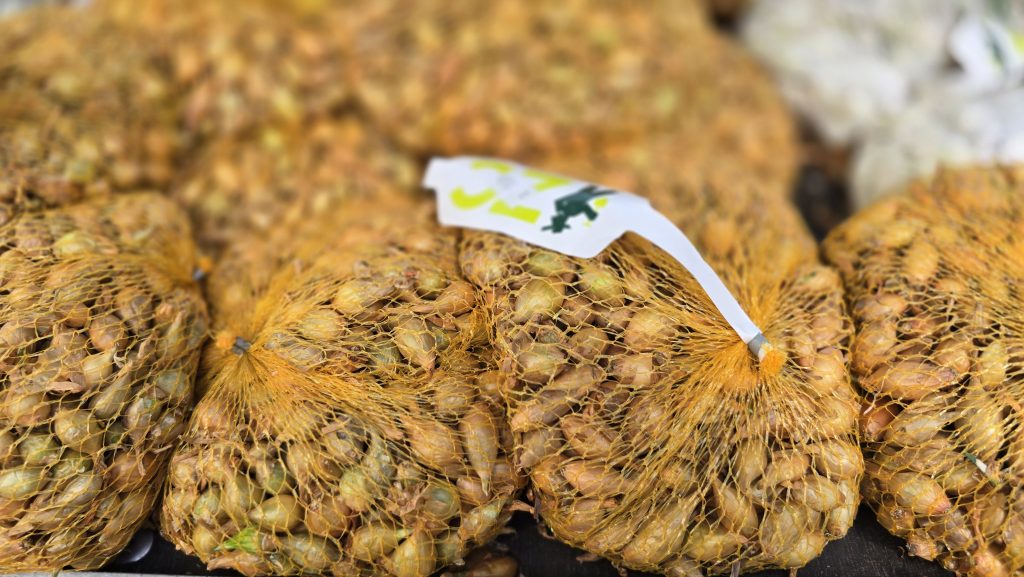 Sadbová zelenina