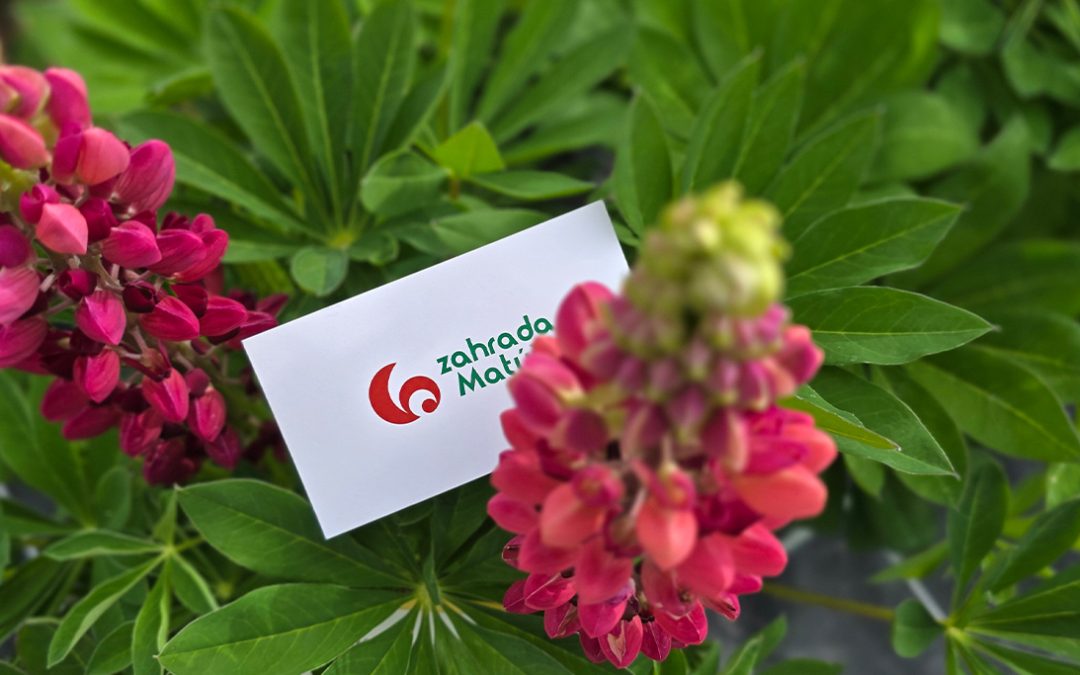 Romantika, struktura a celoroční zájem