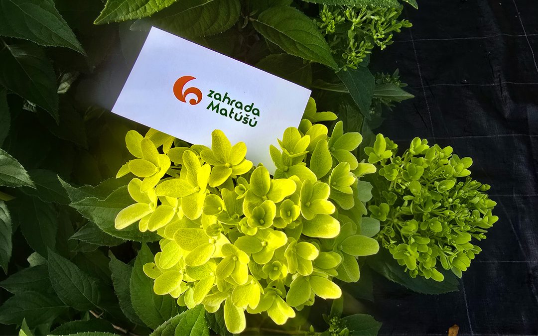 Barevná paleta pro vaši zahradu