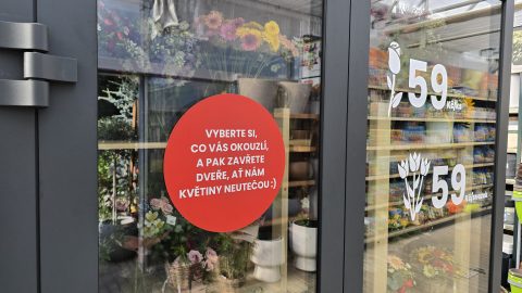 Zákulisí