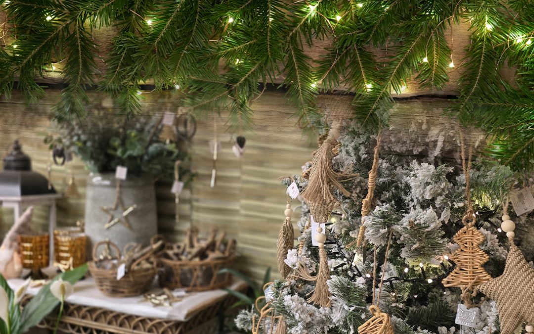 🌲 Vítejte ve vánoční zemi Zahrady Matúšů