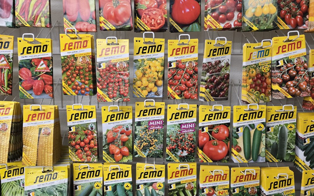 🌱 Sezona setí začíná