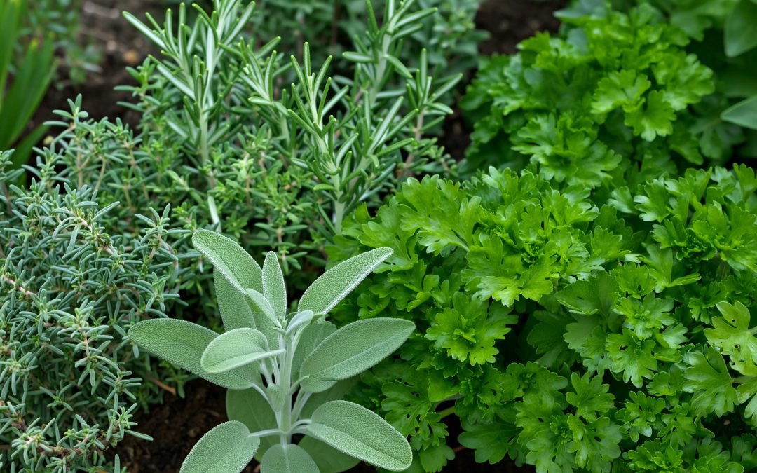 Vůně, která vás pohladí po duši 🌿