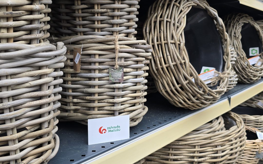 🆕 Ratan, co voní domovem