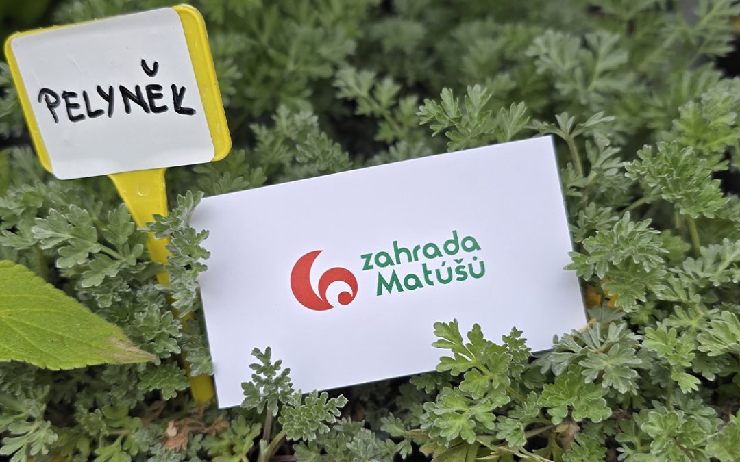 ✨ Čarodějnictví v kuchyni