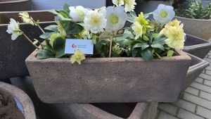 Vietnamská keramika