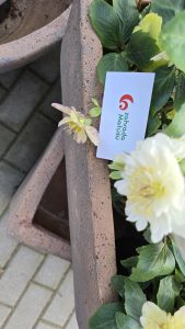 Vietnamská keramika