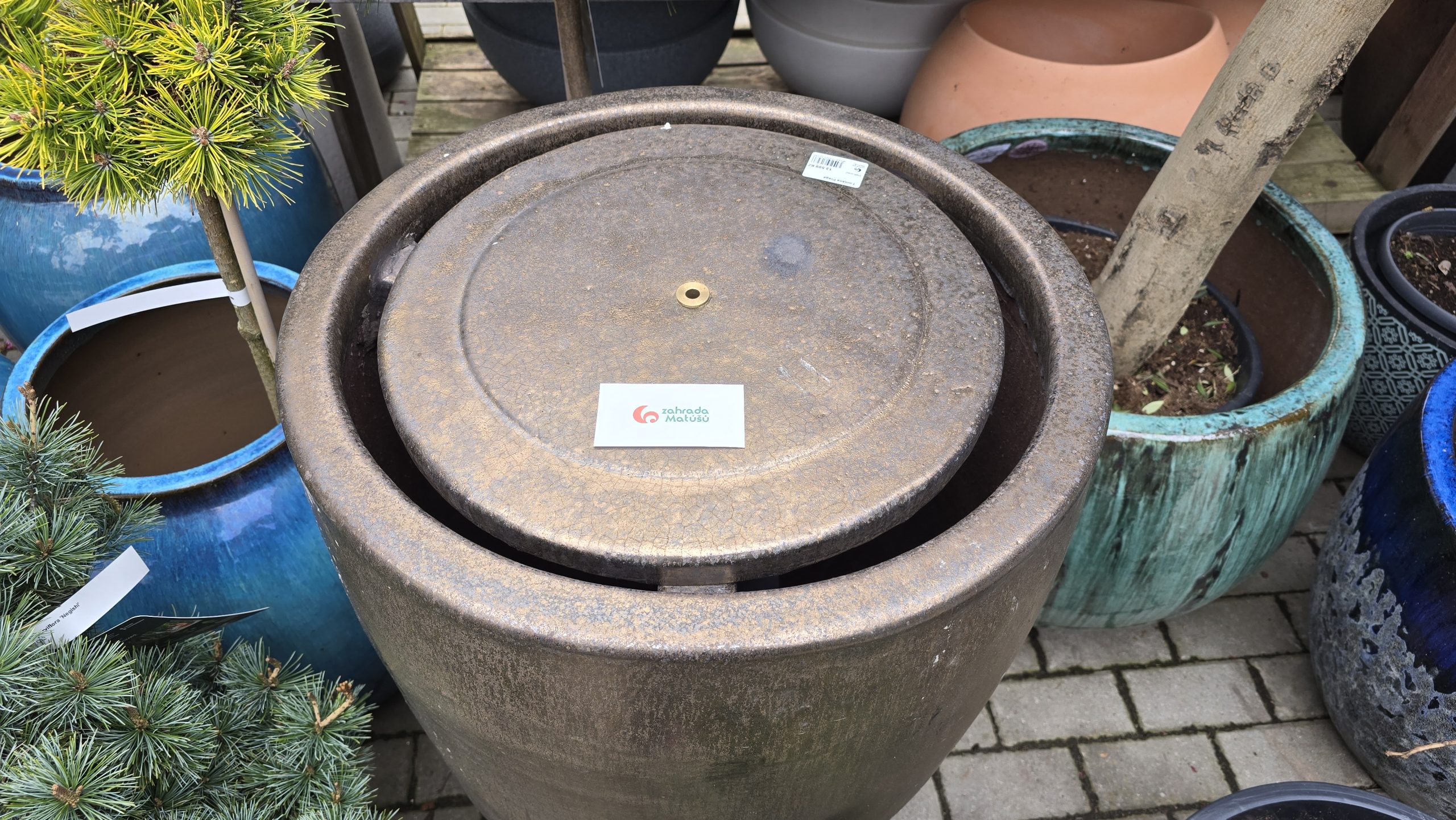 Vietnamská fontána